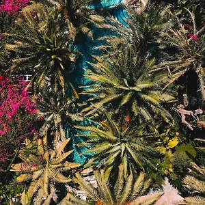 3* Otel Flamingo & - Pet Friendly